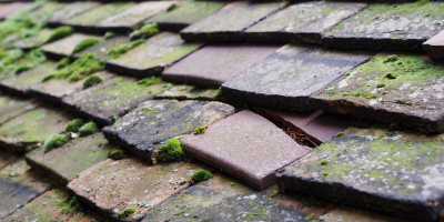 Clophill roof repair costs